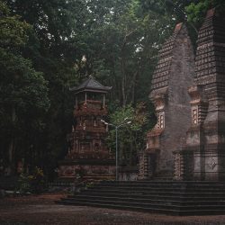 Taman Nasional Alas Purwo - Tempat Angker di Indonesia - Unsplash