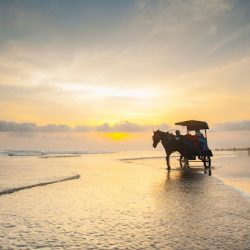 Wisata Pantai Jogja- Noice - Envato