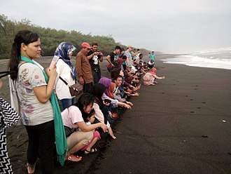 Wisata Pantai Jogja- Pantai Goa Cemara - Wikipedia