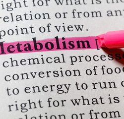Cara Meningkatkan Metabolisme Tubuh