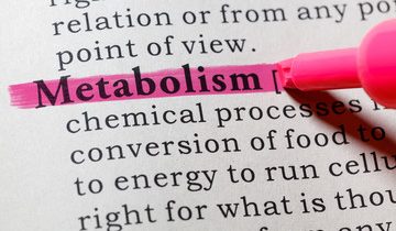 Cara Meningkatkan Metabolisme Tubuh Dengan Praktis, Terbukti Sains!