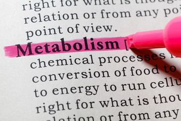 Cara Meningkatkan Metabolisme Tubuh Dengan Praktis, Terbukti Sains!