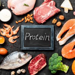 manfaat protein