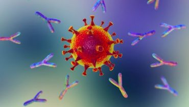 Catat! Ini Dia Cara Meningkatkan Antibodi Paling Ampuh